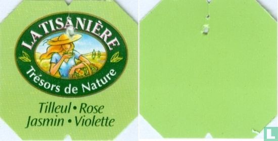 Tilleul • Rose Jasmin • Violette - Image 3