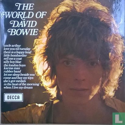 The World of David Bowie - Afbeelding 1