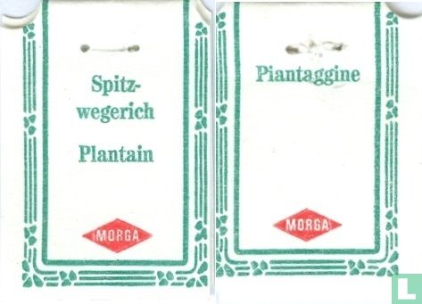 Spitzwegerich (Blätter) - Bild 3