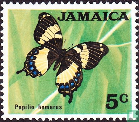 Papilio Homer