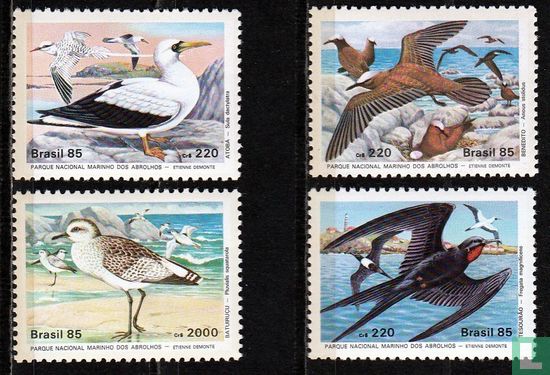 Vogels uit Nationaal park Abrolhos