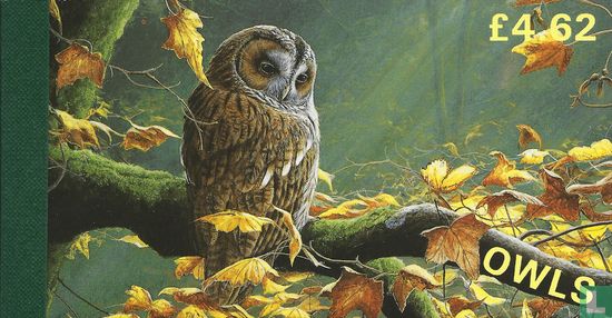 Owls - Image 1