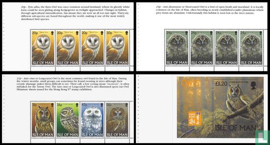 Owls - Image 3