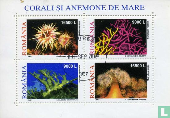 Corals and Sea anemones