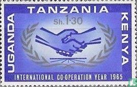 Jahr der internationalen Zusammenarbeit