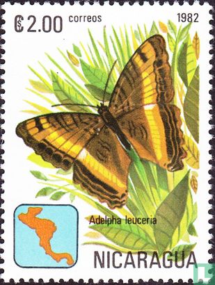Papillons