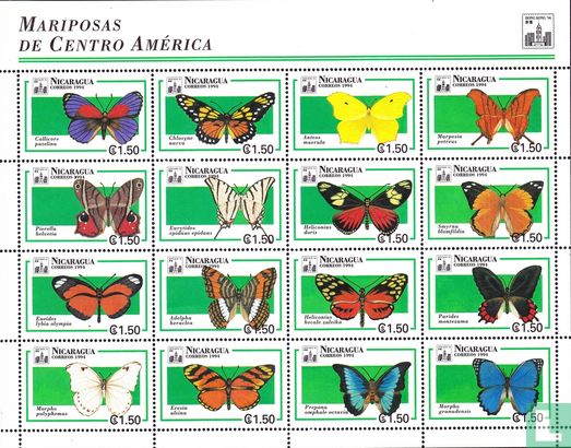 Papillons d'Amérique centrale