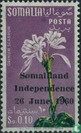 Déclaration de l'indépendance, Somalie