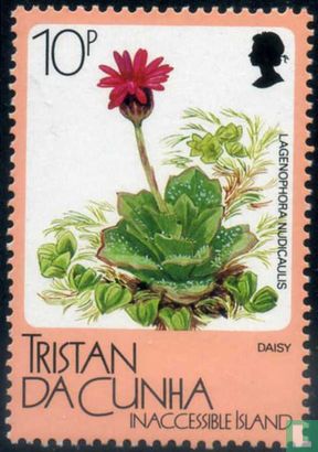 Faune et flore