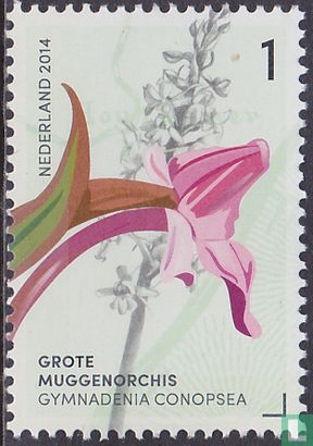 Orchids of the Gerendal   - Image 1