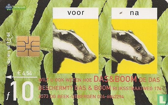 Stichting Das & Boom / Stichting de Eekhoornopvang - Image 1