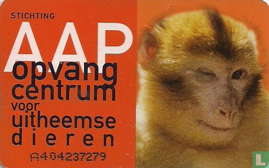 Stichting AAP - Image 2