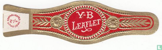 Y-B Leaflet  - Afbeelding 1