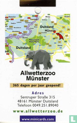 Allwetterzoo - Bild 2