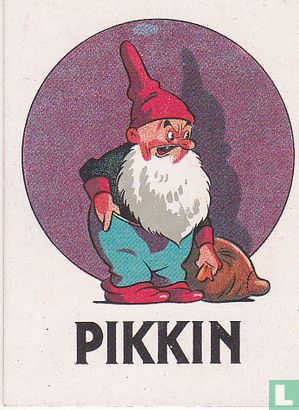 Pikkin ( naamkaart)  - Image 1