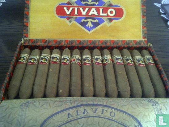 Vivalo (Ninove) - Afbeelding 3