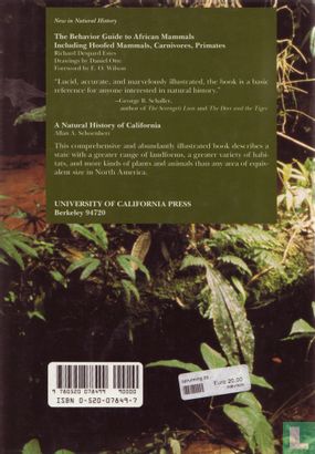 latin American Insects and Entomology - Image 2