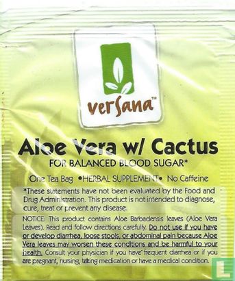 Aloe Vera w/ Cactus - Image 1