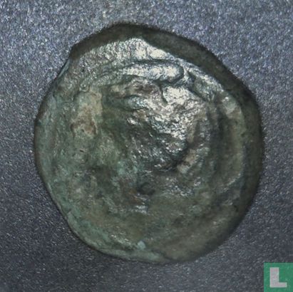 Kephaloidion, Sicilië, AE14, 344-336 BC, onbekend heerser - Afbeelding 1