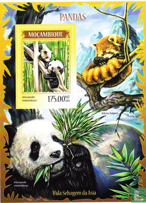 Fauna of Asia-pandas