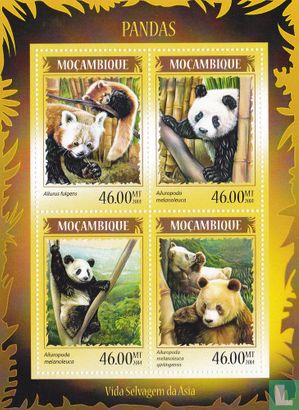 Fauna van Azie - panda's