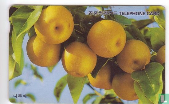 Appletree - Bild 1