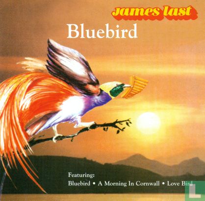 Bluebird - Bild 1