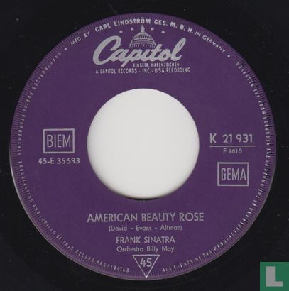American Beauty Rose - Bild 3