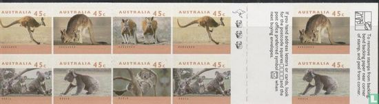 Australische dieren - Boekje met 1 Kangoeroe + 3 Koala's  - Afbeelding 2