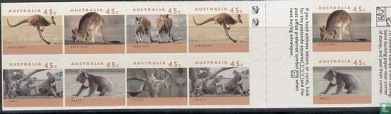 Australische dieren - Boekje met 2 Koala's  - Afbeelding 2