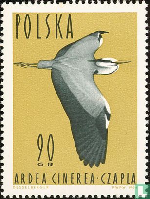 Oiseau 