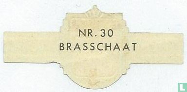 Brasschaat - Afbeelding 2