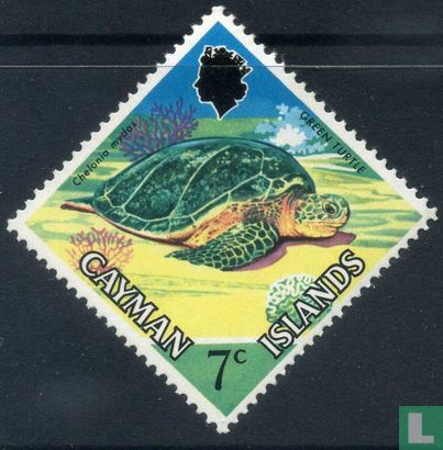 Schildpadden