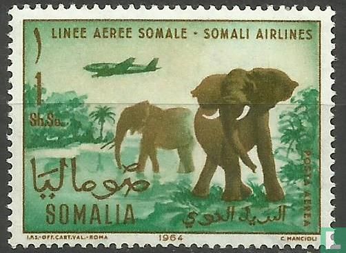 Somali airline