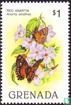 Butterflies    