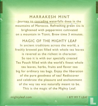 Marrakesh Mint - Image 2