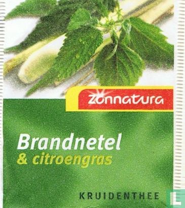 Brandnetel & citroengras - Afbeelding 1