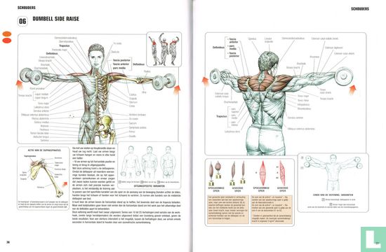Krachttraining - Afbeelding 3