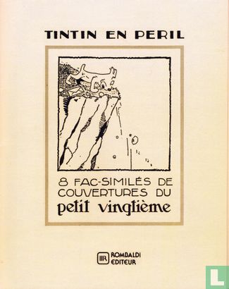 Tintin en péril - Afbeelding 1