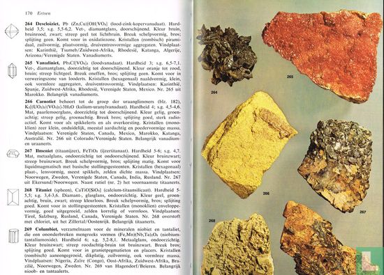Elseviers gids voor stenen & mineralen - Bild 3
