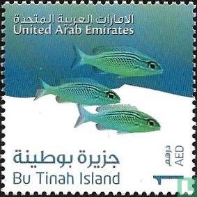 Bu Tinah island