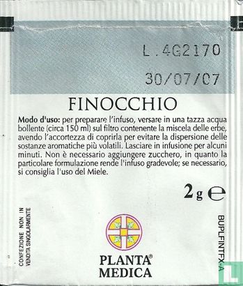 Finocchio - Afbeelding 2