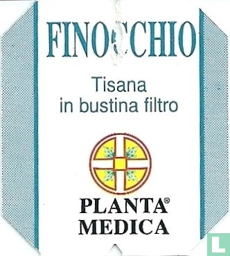 Finocchio - Bild 3