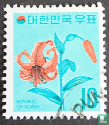 Korea-Lily