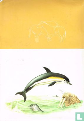 Zoogdieren uit Europa II - Afbeelding 2