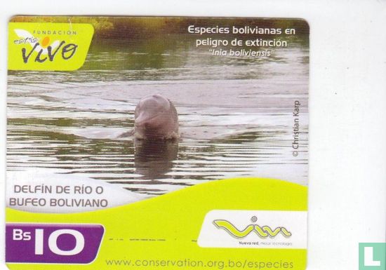 Delfin de Rio - Image 1