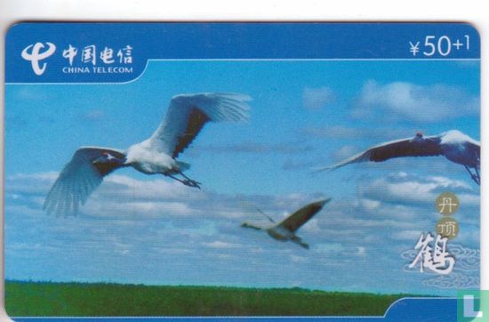 Crane Birds - Bild 1