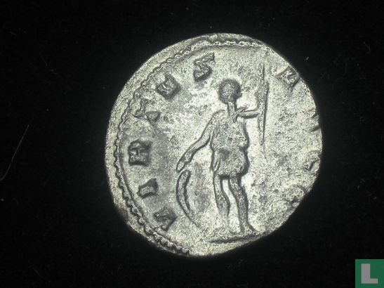 Romeinse Rijk - AR Antoninianus - Gallienus - 254 AD - Afbeelding 2