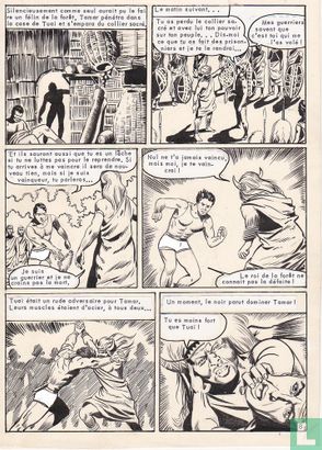 Tamar - Le totem parleur (page 8)     