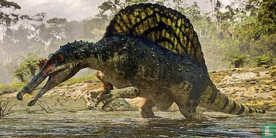m-76 Spinosaurus tand origineel - Afbeelding 3